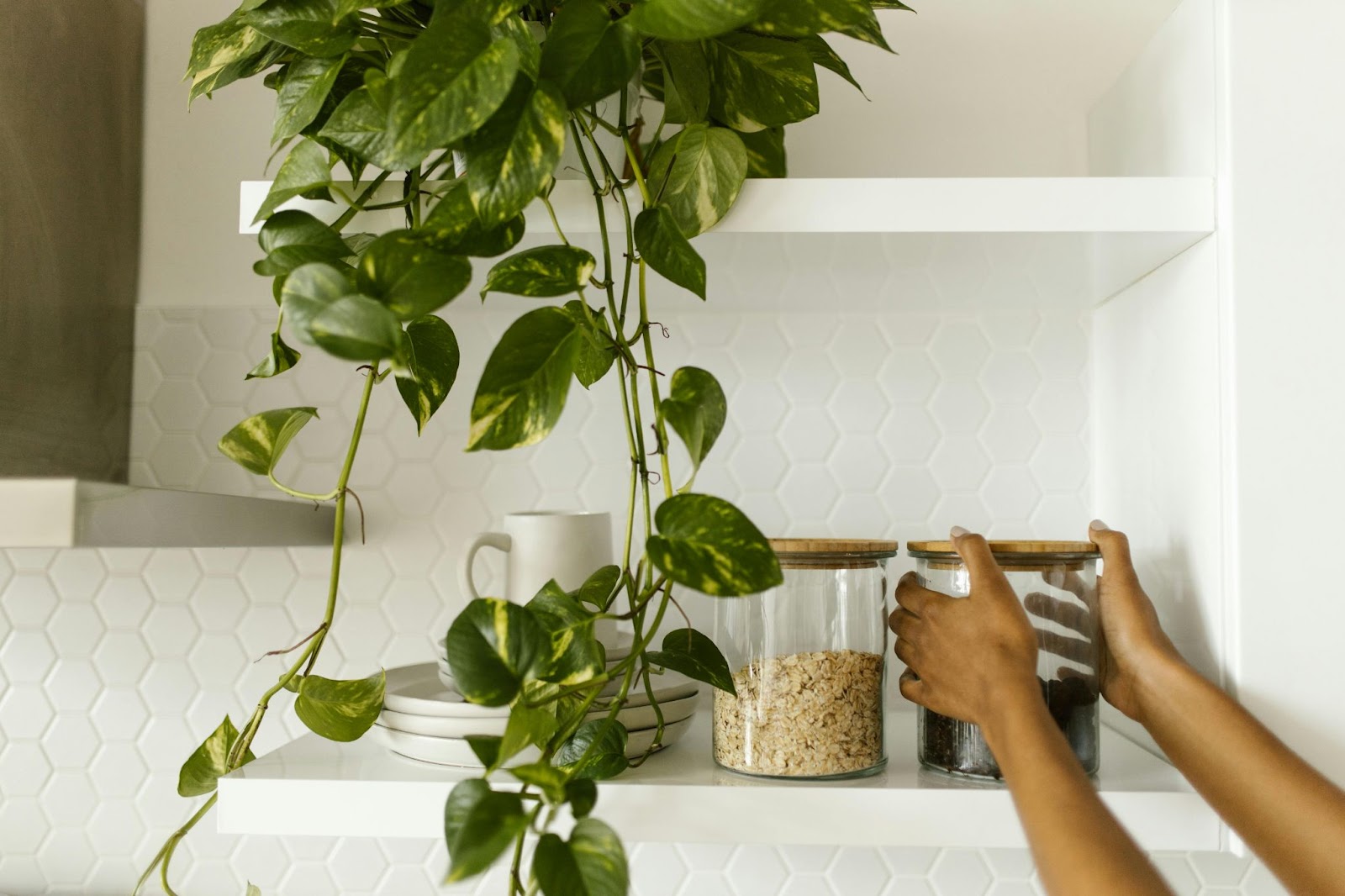 White open shelves display glass food canisters, a small stack of plates, and a plant for a tidy, minimalist look.