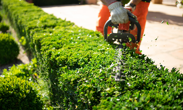 Landscaping Equipment
