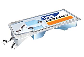 ant-trap-web