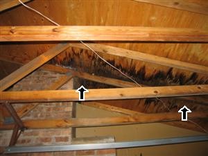 The arrows point to spots indicating water damage in the attic.