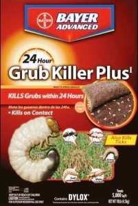 Bayer 24 hour grub