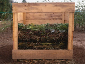 Compost bin