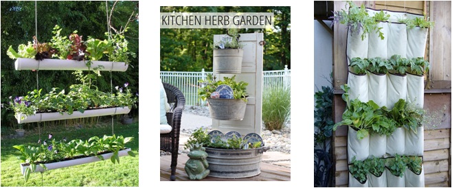 Creative Herbs 2nd step 3w1h