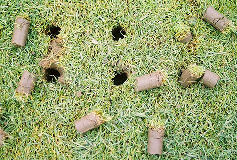 dirt-plugs