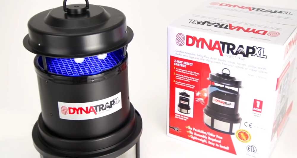 dynatrap