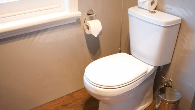 Modern bathroom with a white toilet and a roll of toilet paper mounted on the wall beside it.