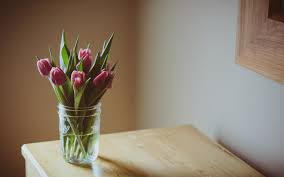 flowers vase table