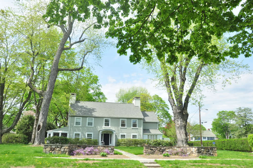 A sage green colonial style home with white trim. The home has a large front yard with a stone walkway, stone walls and two large trees on either side of the home.