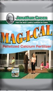 Jonathan Green Mag-i-cal