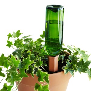 plant nanny with wine bottle