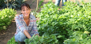 planting-your-first-vegetable-garden-app