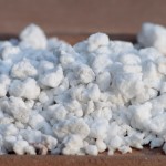 Schultz_Horticultural_Perlite