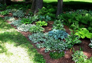 Shade Garden example 2