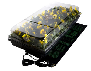 Starting From Seeds germination station