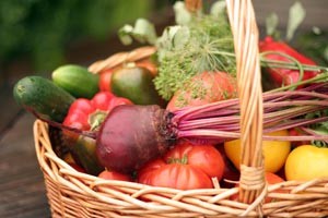 Victory Garden BASKET OF VEGGIES