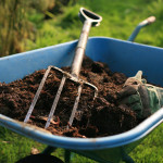 wheelbarrow-compost-pitchfork