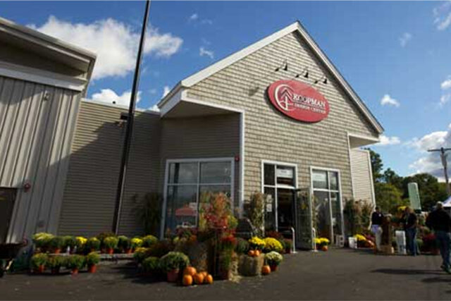 Garden center entrance with flowers and pumpkins displayed outside on a sunny day.