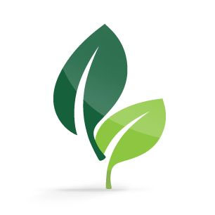 Two stylized green leaves with a glossy finish on a white background.