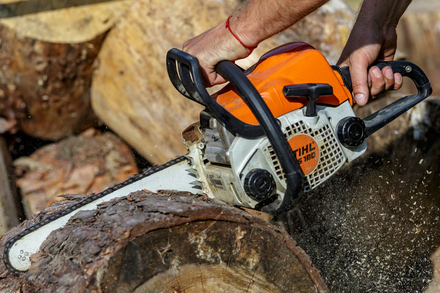 STIHL Chainsaws